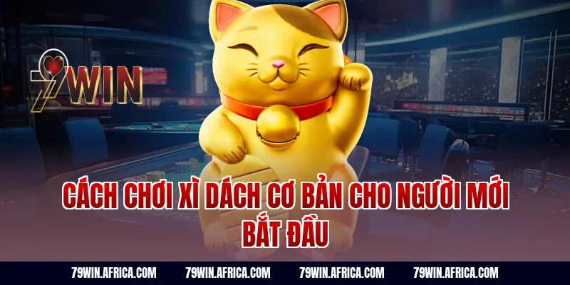 Cách chơi xì dách cơ bản cho người mới bắt đầu