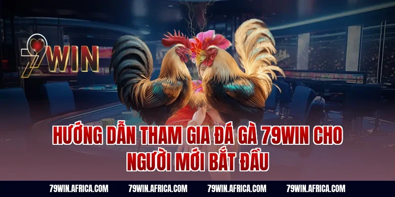 Hướng dẫn tham gia đá gà 79win cho người mới bắt đầu