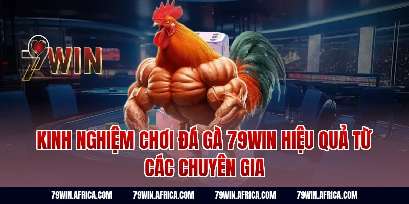 Kinh nghiệm chơi đá gà 79win hiệu quả từ các chuyên gia