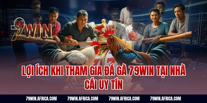 Lợi ích khi tham gia đá gà 79win tại nhà cái uy tín